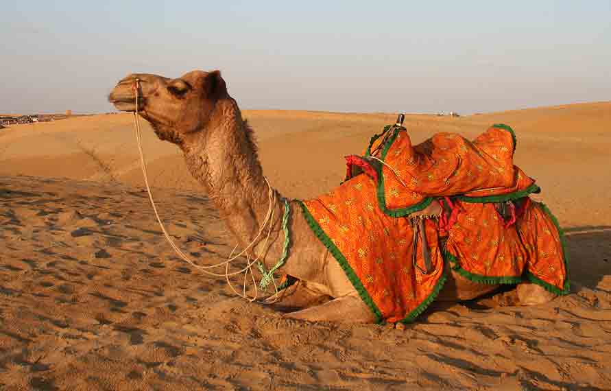 Jaisalmer Jodhpur Tour Packages 5 Days | Jaisalmer Jodhpur Tour Package