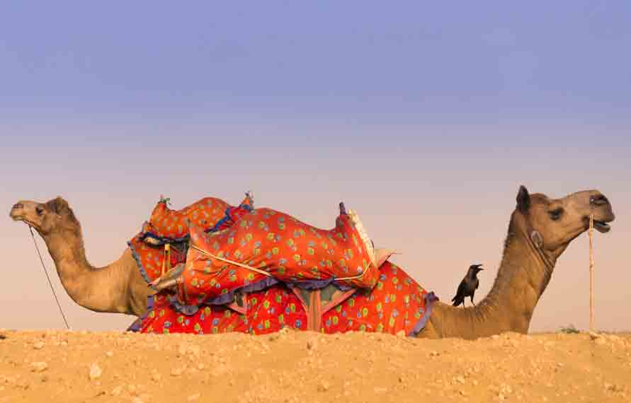 3 Days Trip in Jaisalmer, 2 Night 3 Days Jaisalmer, Jaisalmer Packages