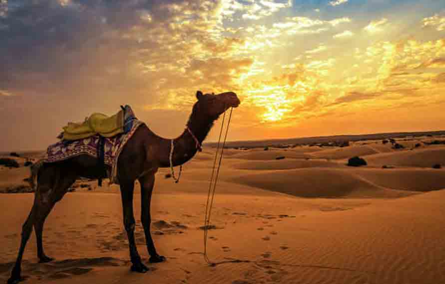 2 Nights 3 Days Tour Package Jaisalmer, 3 Days Jaisalmer Tour Package