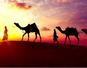 Jaisalmer Packages